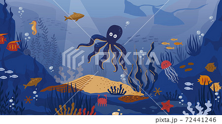 タコ 海中 海 海の動物のイラスト素材