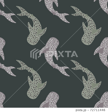 ジンベイザメ イラスト 手描きの写真素材