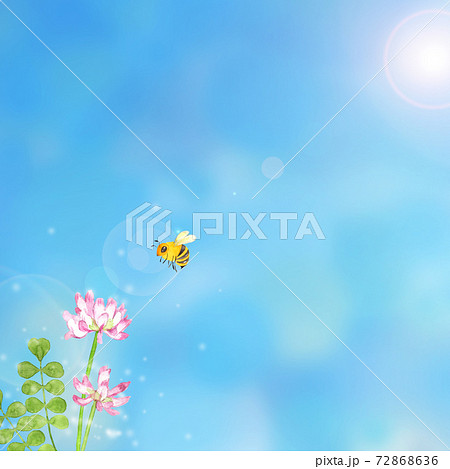 れんげのイラスト素材