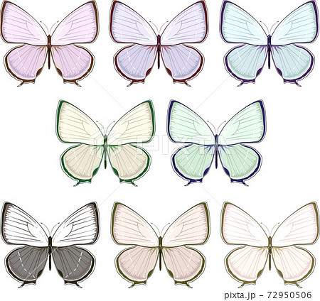 チョウ ちょう かわいい 蝶のイラスト素材