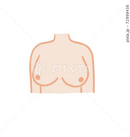 Breast shapes vector illustration - Stock Illustration [55170449