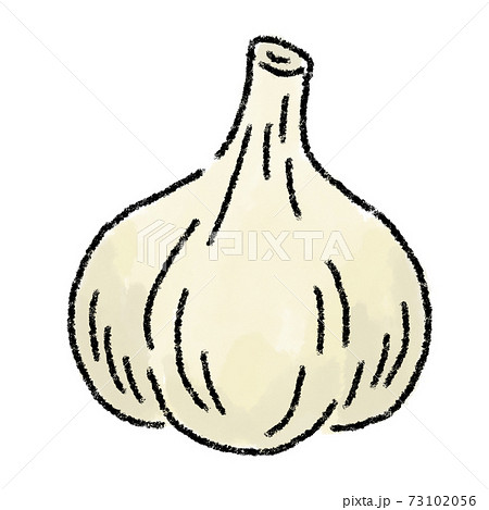 にんにくのイラスト素材集 ピクスタ