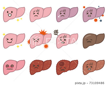 肝臓のイラスト素材