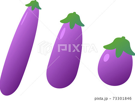 ヘタ紫なすのイラスト素材