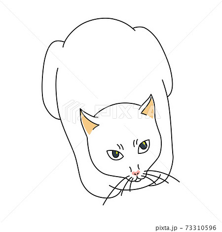 猫 動物 キャラクター 白猫のイラスト素材