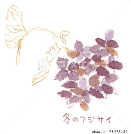 枯れた花 枯れるのイラスト素材