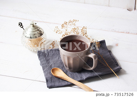 ココアの木の写真素材