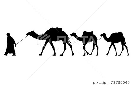 らくだのイラスト素材 Pixta