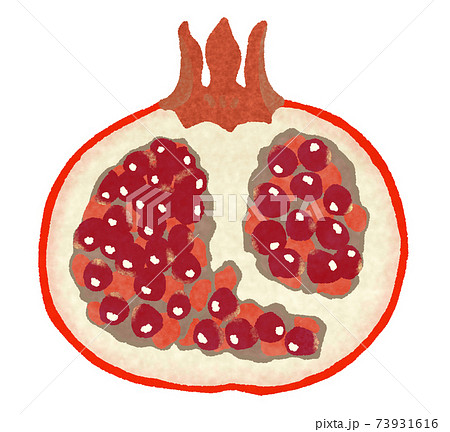柘榴のイラスト素材