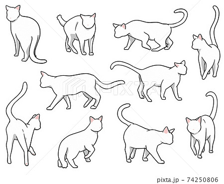 猫 アイコン 動物 可愛いのイラスト素材