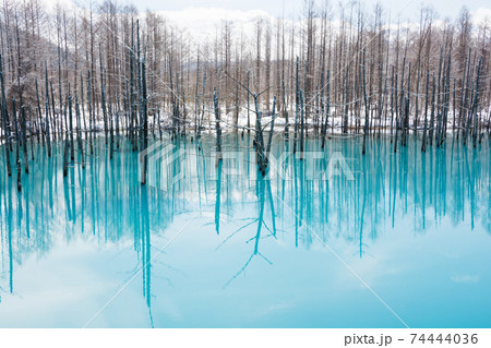 北海道 壁紙 美瑛 青い池の写真素材