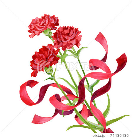 花 リアルイラストのイラスト素材 花 リアルイラストのイラスト素材