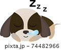 動物 犬 寝る 眠る かわいいのイラスト素材