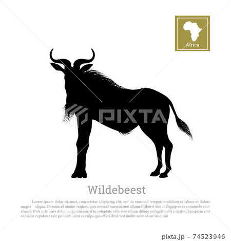 ヌー 動物 絵 角のイラスト素材