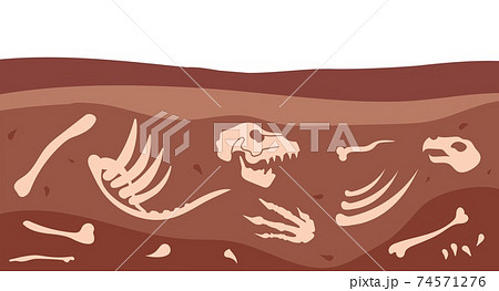 化石 古生物 イラスト 古代生物の写真素材