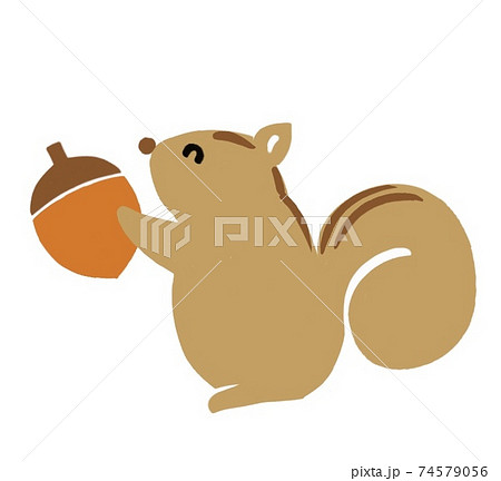 小動物 リス どんぐりのイラスト素材