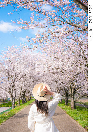 女の子 イラスト 後姿 麦わら帽子の写真素材