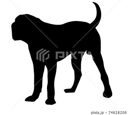 土佐犬のイラスト素材