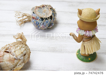 ハワイアン人形の写真素材