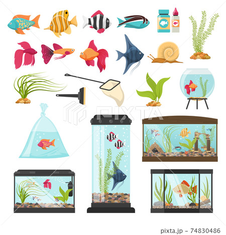 水槽のイラスト素材 水槽のイラスト素材