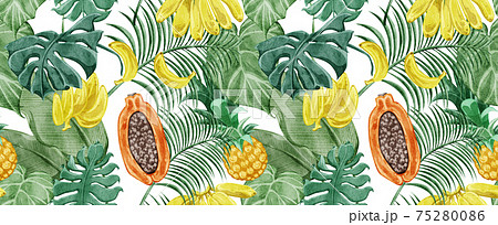 熱帯植物のイラスト素材