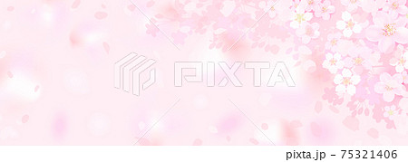 儚いのイラスト素材