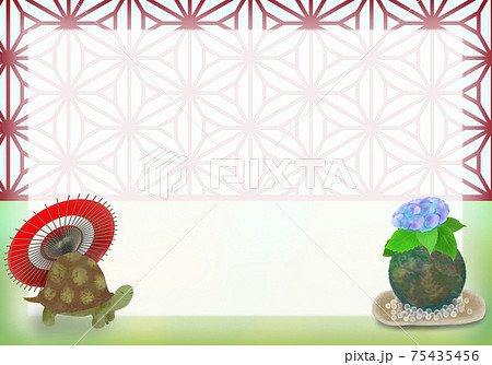 亀 甲羅のイラスト素材