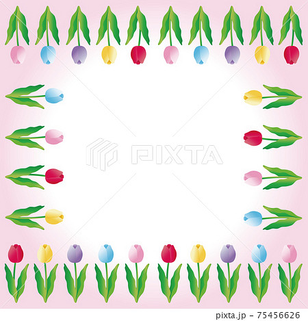 ちゅーりっぷのイラスト素材