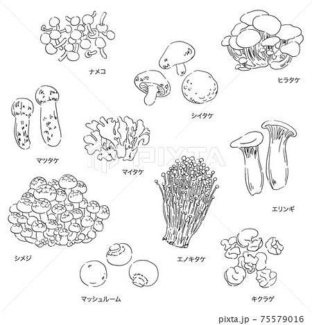 きのこのイラスト素材集 ピクスタ