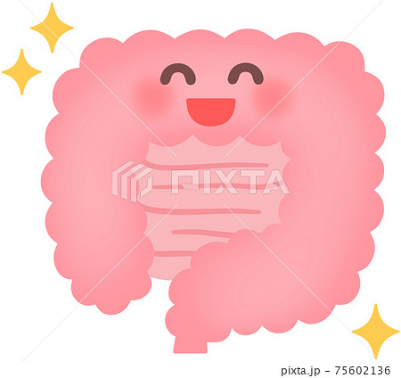 大腸のイラスト素材