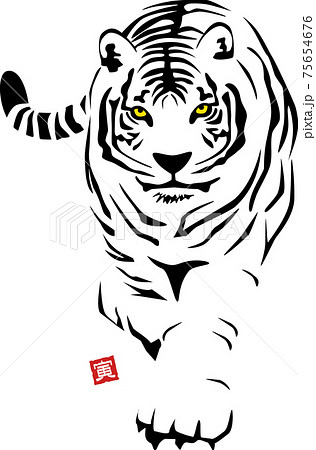 タイガー トラ 虎 歩くのイラスト素材