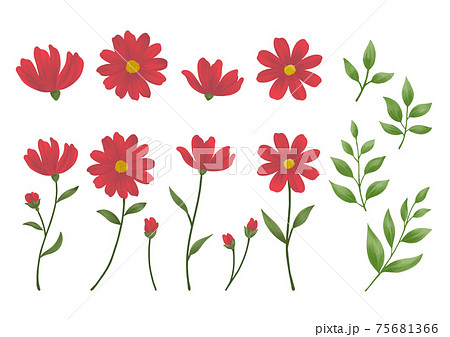 花一輪のイラスト素材