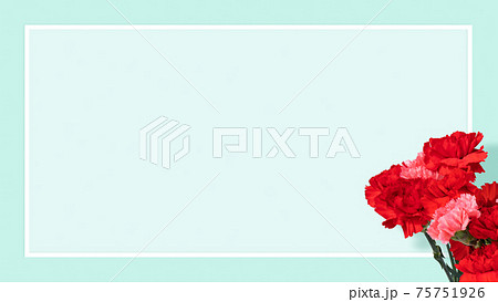 バラの花びら 花びら テクスチャ 背景素材のイラスト素材