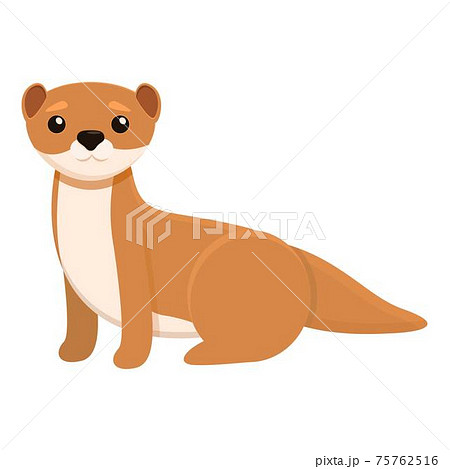 Ferret Illustrations