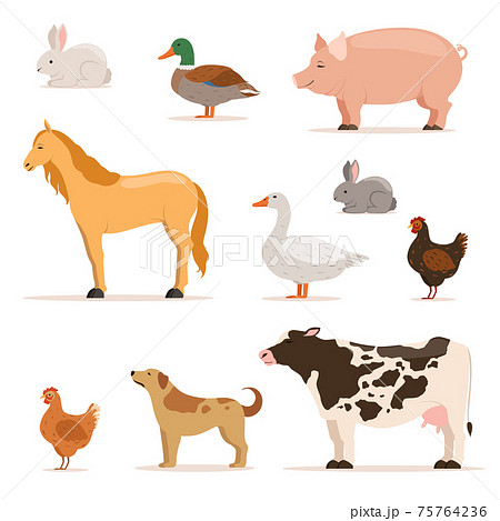 アヒル ガチョウのイラスト素材集 ピクスタ