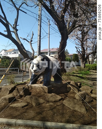 公園 遊具 パンダの写真素材