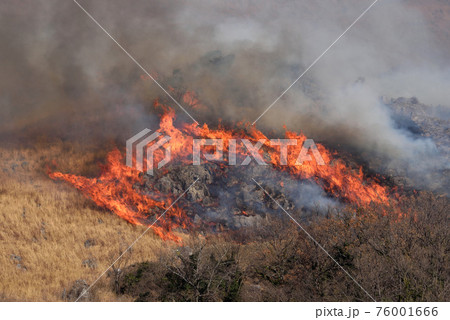 森林火災の写真素材