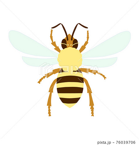 ミツバチ アイコン 蜂 かわいいのイラスト素材
