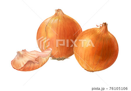 タマネギの皮のイラスト素材