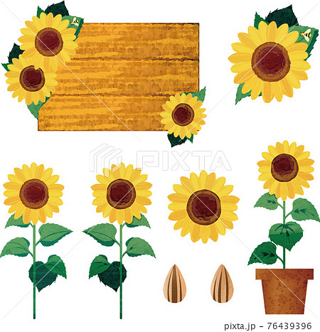 花鉢のイラスト素材