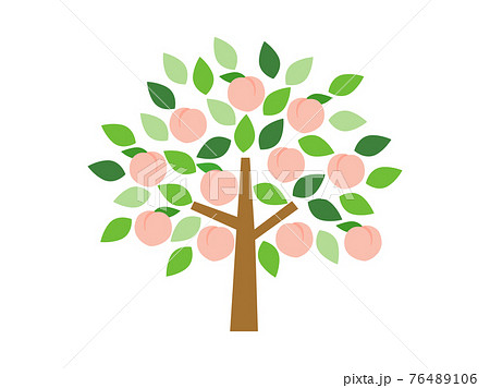 桃の木のイラスト素材