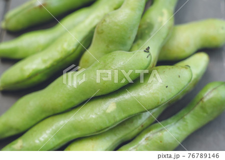 そら豆 豆 野菜 大きいの写真素材