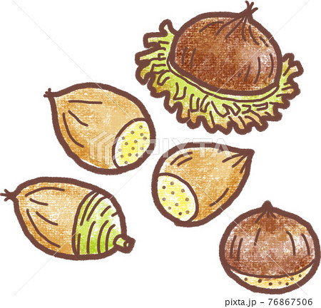 どんぐりのイラスト素材集 ピクスタ