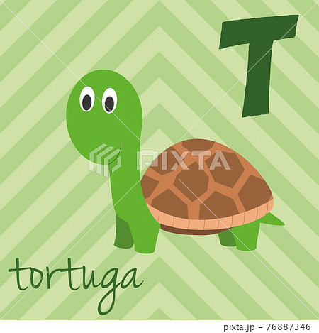 亀の赤ちゃんのイラスト素材