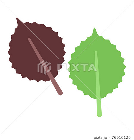 しそのイラスト素材