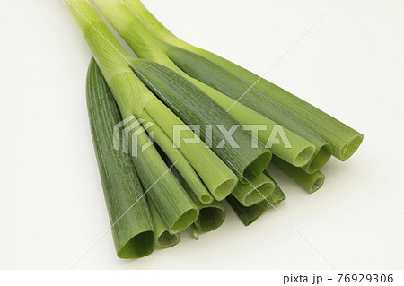 Long Onion Photos Pixta