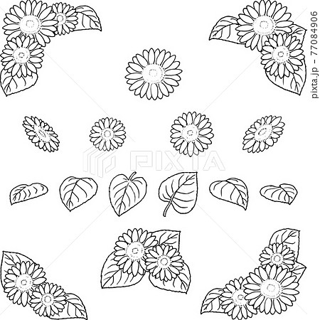 花 ひまわり 白黒 植物 向日葵のイラスト素材