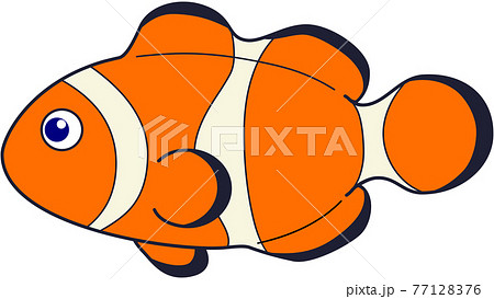 カクレクマノミのイラスト素材