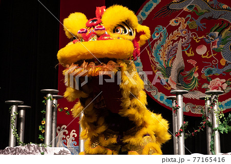 獅子舞 春節 中国獅子舞 かわいいの写真素材