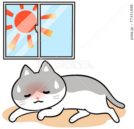 動物 猫 暑い イラストの写真素材